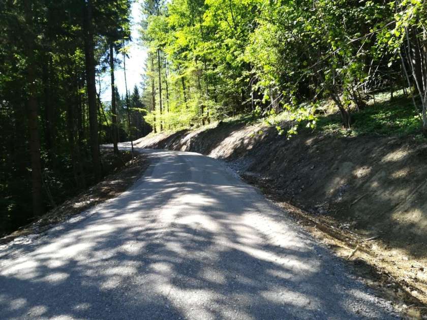 SKN (avdio):  O črmošnjiški gozdni cesti in o Bobrovi poti