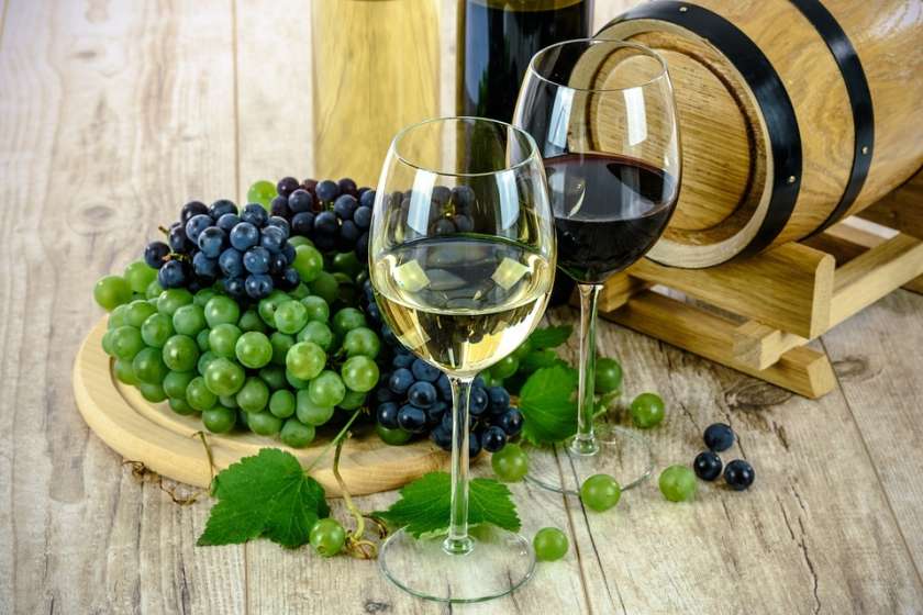 Na Zbornici kmetijskih in živilskih podjetij pri GZS ustanovili združenje vinarjev
