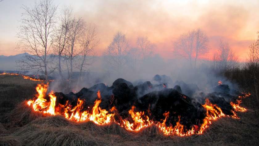 Dvanajst travniških požarov, od ponedeljka velika požarna ogroženost