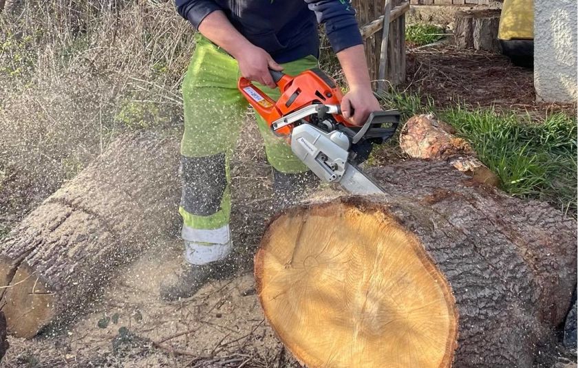 Ukradli motorno žago, lovski puški, električno orodje