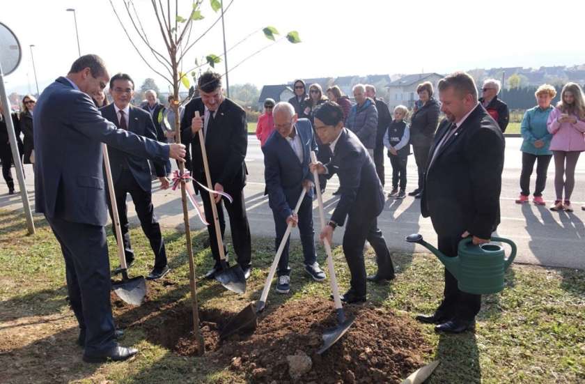 FOTO: V Grosuplju zasadili drevored japonskih češenj