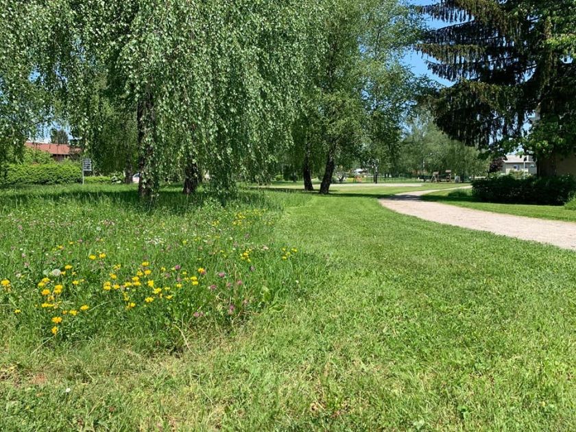 V Kočevju v projektu obnove parkov odpirajo prenovljeni park v Kajuhovem naselju
