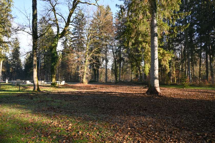 Razvoj turistične dejavnosti na območju Olimpijskega centra Novo mesto