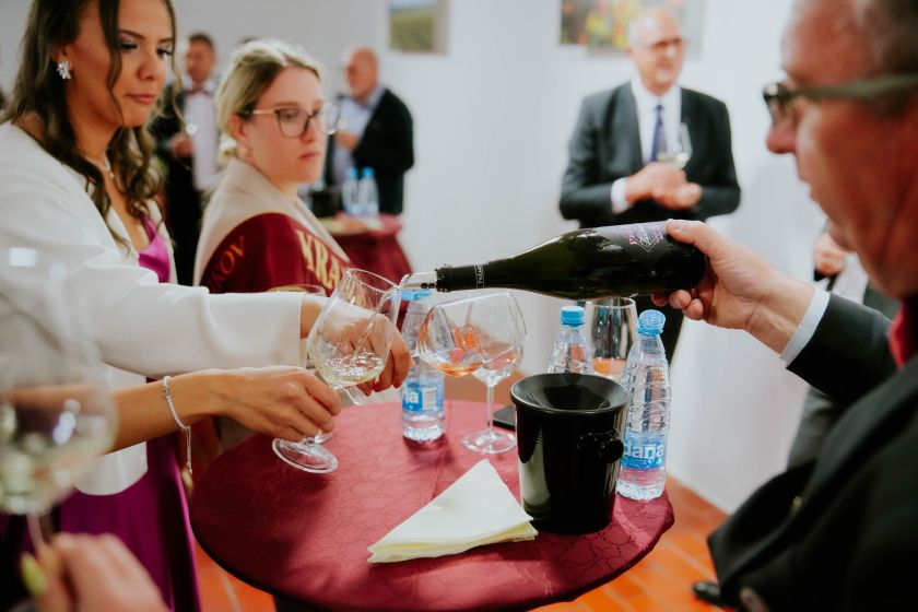 Vinska vigred 2025: Trije dnevi vina, tradicije, glasbe in pristne belokranjske energije