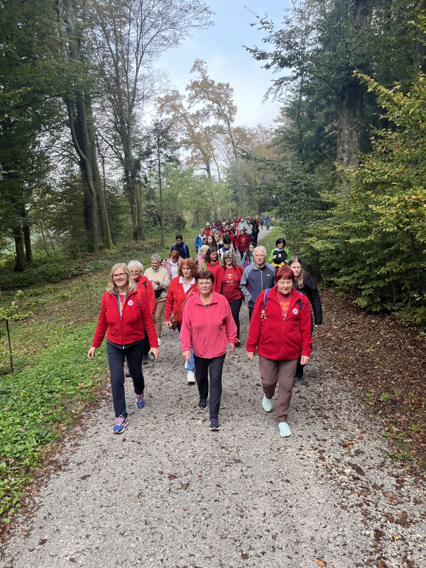 Dobrodelni pohod po Poti Rdečega križa v Novem mestu pod geslom »Nisi sam«