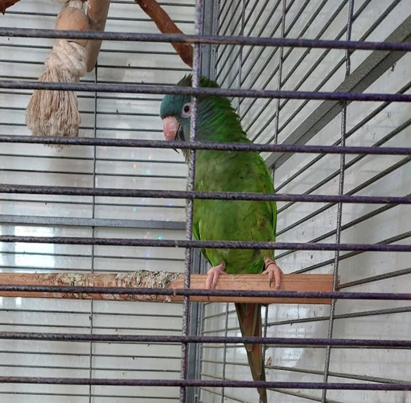 Se opazili kje Kiki?