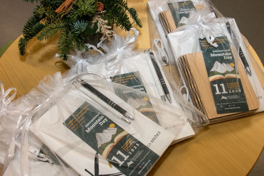 Festival "Brati gore 2025" v Brežicah