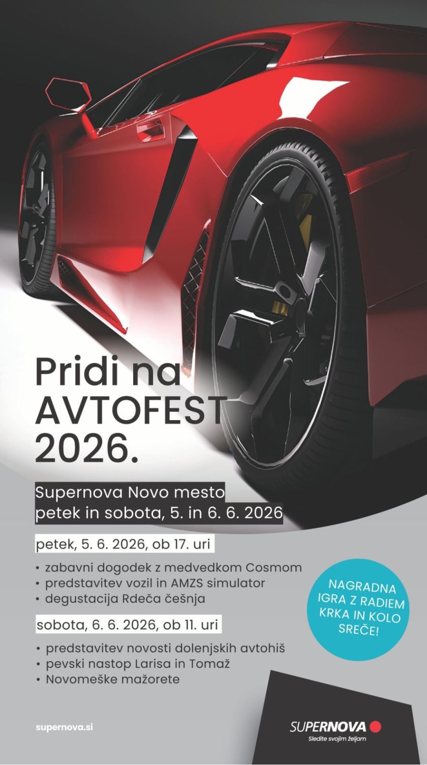 Iščemo dolenjskega mojstra avtomobilov