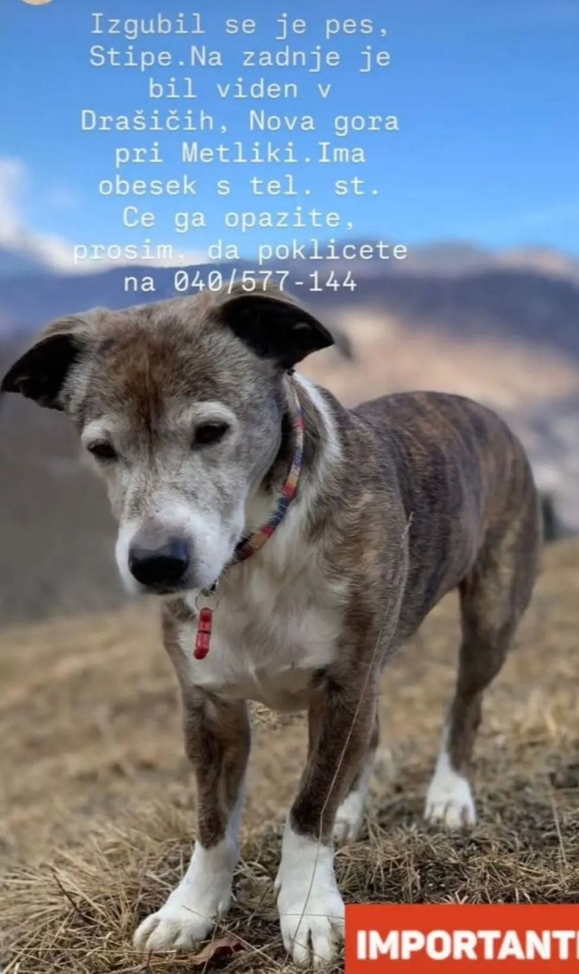 Išče se Stipe