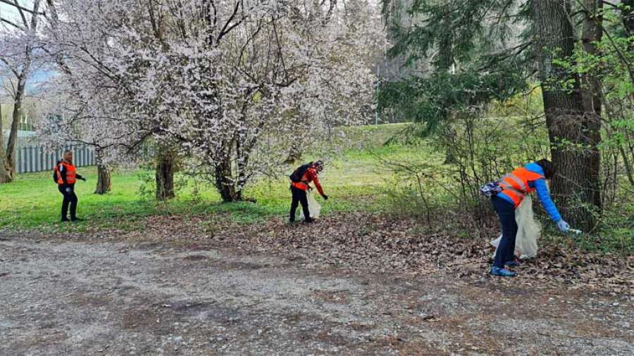 cistilna-akcija-velenje