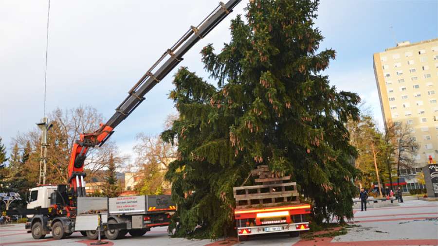 postavljanje_smreke_titov_trg-velenje2017