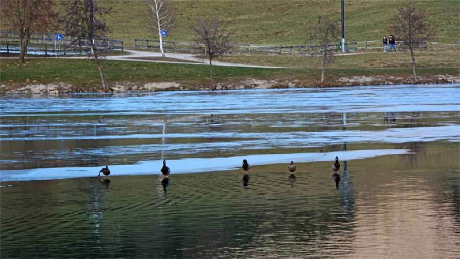 jezero-narava-sprehod-race