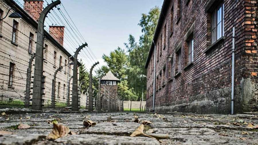 taborisce-auschwitz