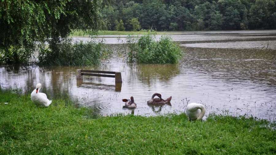 škalsko-jezero_9357