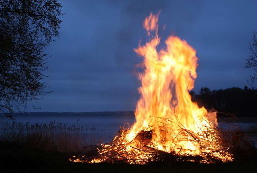 kurjenje v naravi