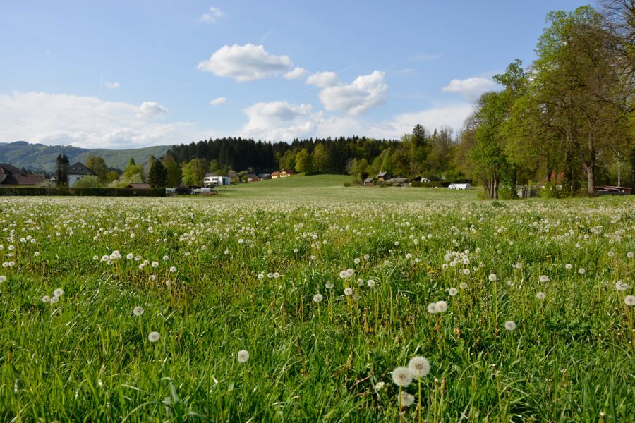 nadomestna-zemljišča-šoštanj-0240