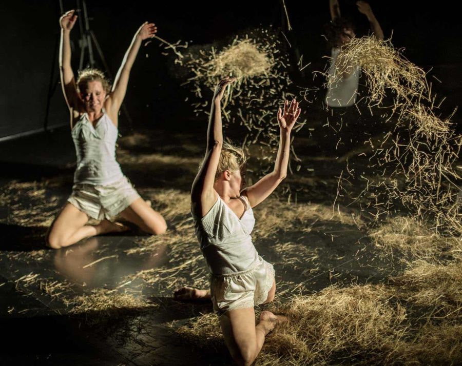 Balkan DANCE Project,Predstava Plenir, Foto Luca Quaia
