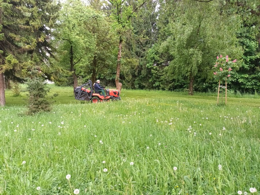 košnja-trave