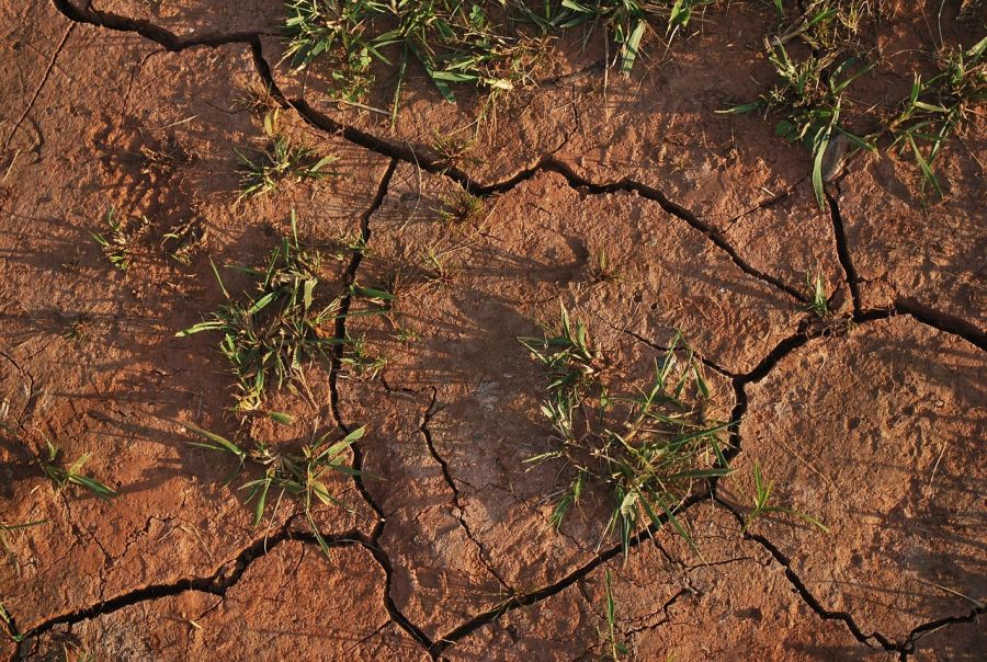 soil-15540_1280