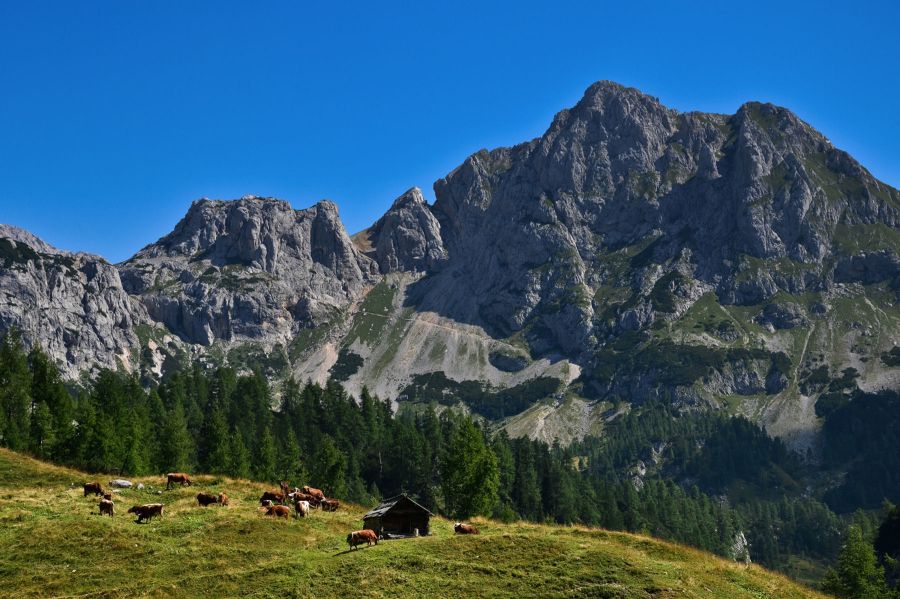 BohinjskeGore