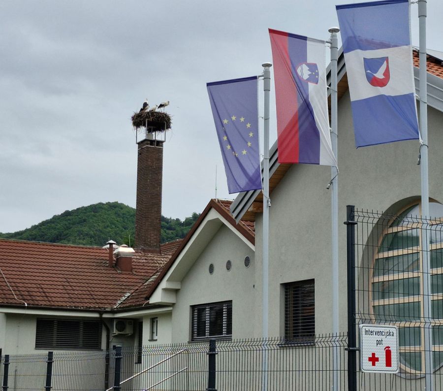 storklje4
