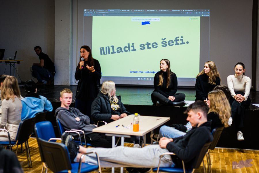 mladinska strategija
