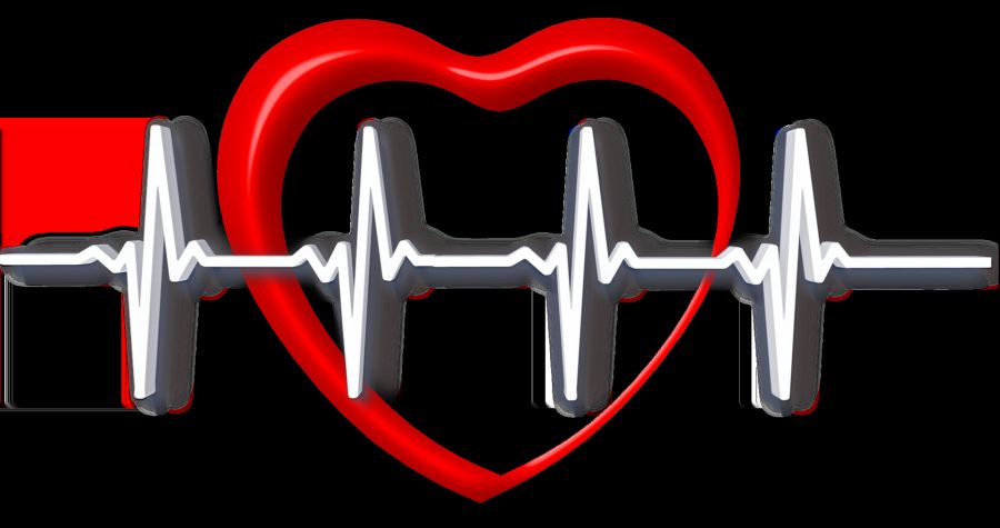 heart