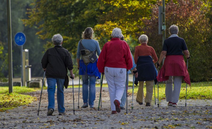 hoja-nordic-walking-1814784