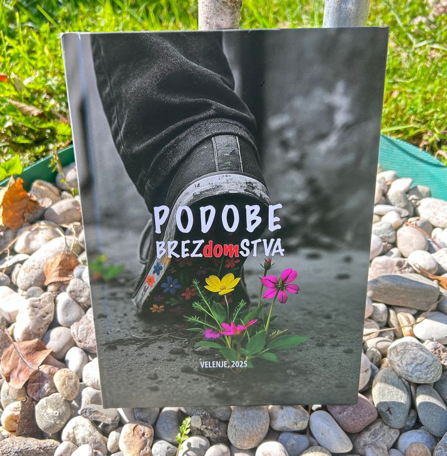 knjiga-Podobe-brezdomstva