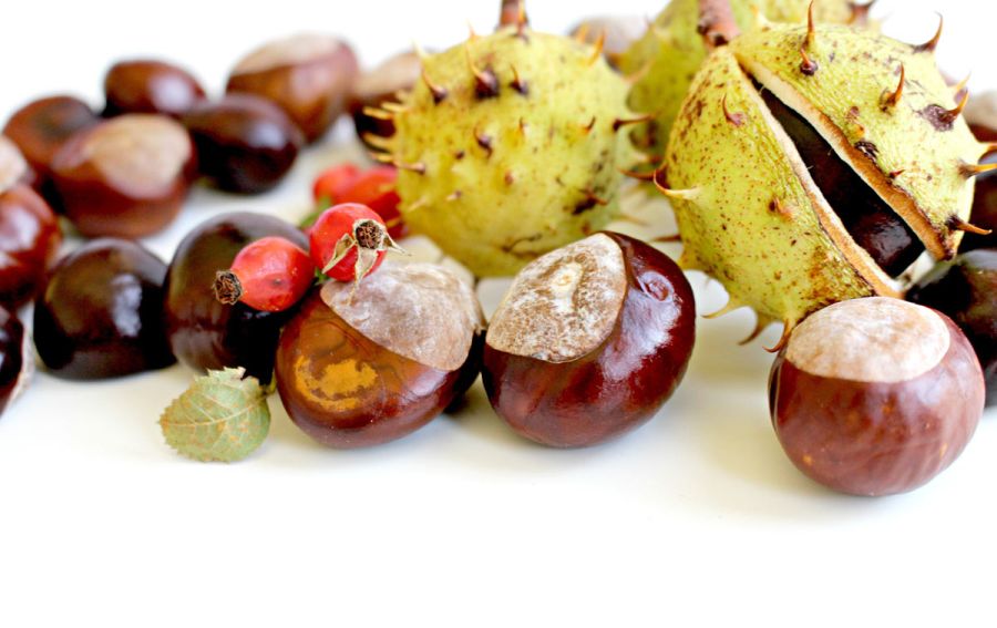 dekoracija-chestnuts-1698235