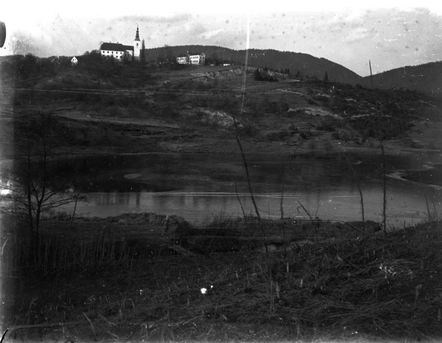 fana vrabič Slika 2