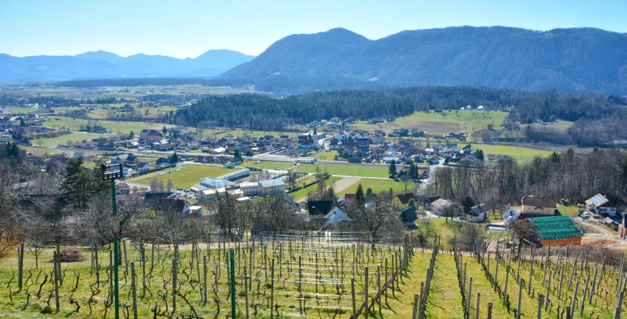 šmartno-ob-paki-9606