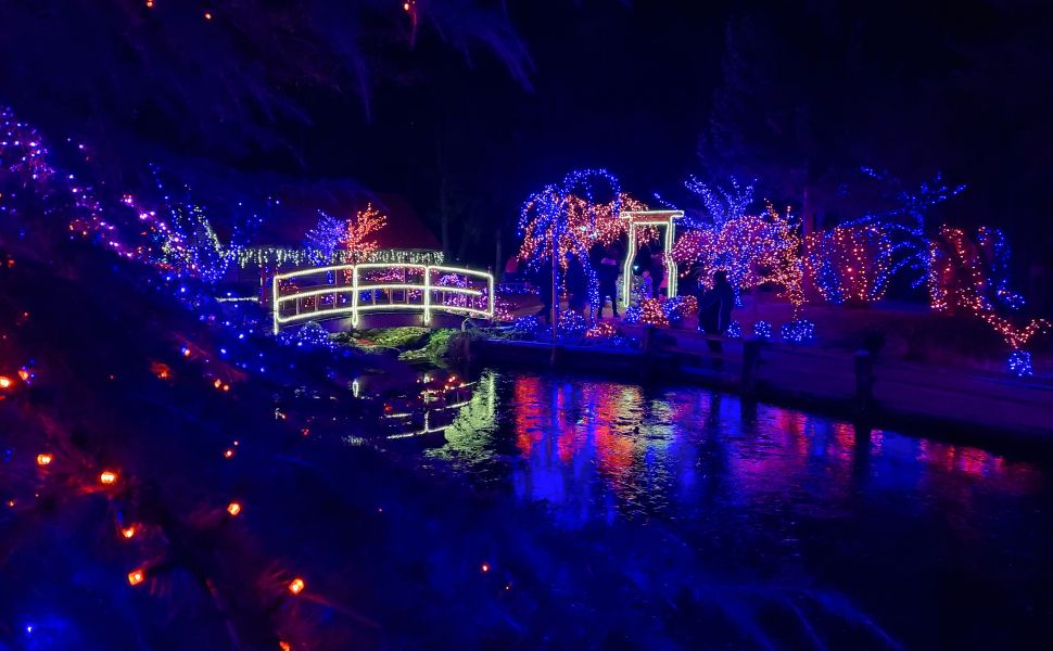 Božična bajka v Mozirskem gaju